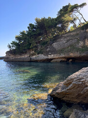 Adriatic sea and cliffs overgrown pine trees.