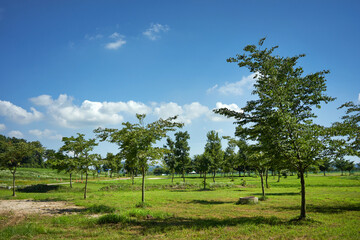 Gongsanseong Fortress in Korea is a fortress from the Baekje period.
