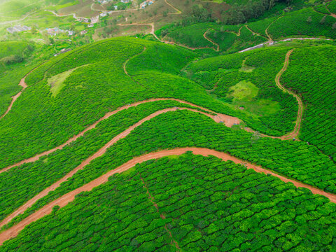 Beautiful Landscapes of Munnar with Tea Plantations &ndash; Aerial and Ground View