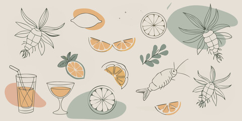 Citrus fruits and marine life with abstract shapes