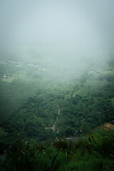 Misty viewpoint over lush green landscape nature photography foggy environment serene atmosphere