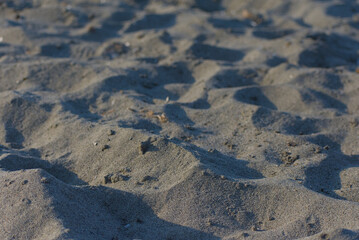 A low-angle, close-up shot of a textured, sandy surface on a beach, with light and shadow...