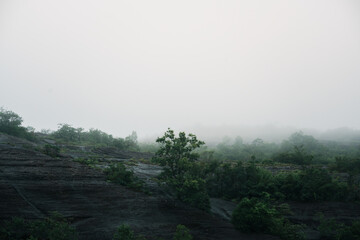Misty morning landscape with lush vegetation remote location nature photography serene environment wide-angle view tranquility