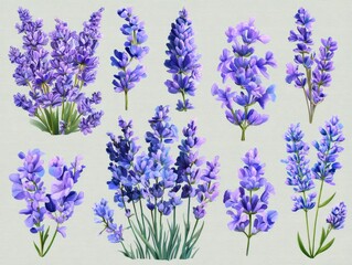 Fototapeta premium Watercolor lavender bouquet with flying purple butterflies isolated on white for floral design and decor, purple clipart