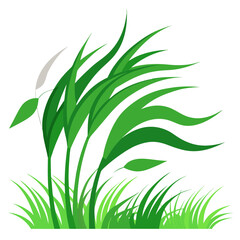 Natural Windy Grass Scene