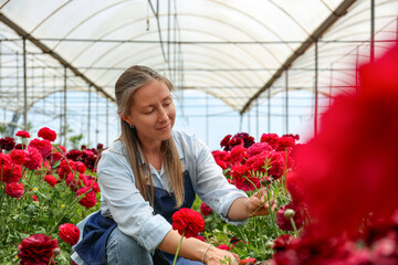 Female farmer examining her flowers. Copy space, background.