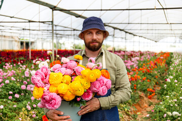 Bearded farmer gathering flowers on his plantation. Copy space, background.