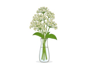 Bouquet of white flowers in a clear vase