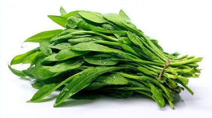 Fototapeta premium Water spinach, Kangkong, flat white background, ideal for food brochures, advertising campaigns and healthy eating visuals, 16:9