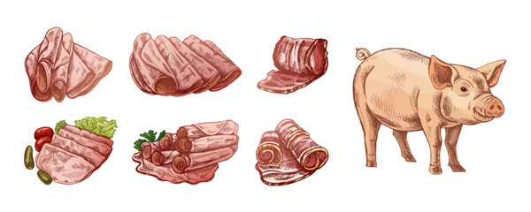 Hand drawn vintage sketch of pig and ham slices in warm color engraving style, isolated vector illustration