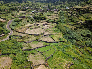 Des champs sur l'ile de Pico aux Açores 