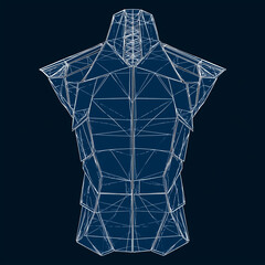 3D wireframe shirt design. Futuristic digital clothing blueprint, abstract torso model, virtual fashion sketch, modern tech-inspired apparel concept art.