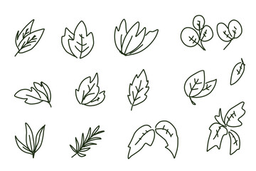 group of leaf vector outline. stock vector design.eps