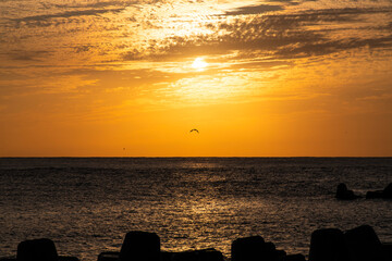 sunset at the seaside of Ulleungdo Island