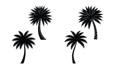 Fototapeta premium Black silhouette of palm trees creates a tropical vacation vibe and summer designs