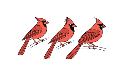 Obraz premium WebColorful Stylized Blue and Yellow Raven Vector Illustration.Set of Colorful Cartoon Birds in Various Shades – Vector Illustration