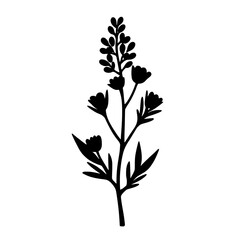 Minimalist black silhouette of heather flower with bell-shaped blooms on white background