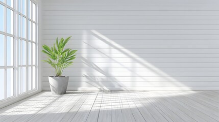 Sunlight streams into a bright, airy room with a plant.