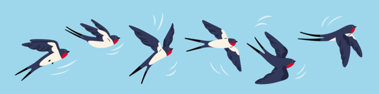 Swallow flying animation. Frame by frame movement of wings, little bird in sky moving, flapping sequences, air flow, speed lines, cartoon isolated mascot illustration, garish vector set