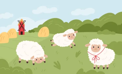  Sheep in pasture. Funny little lambs on green field, cute curly farm animals grazing grass, fluffy happy characters, summer landscape cartoon isolated illustration, garish vector concept © YummyBuum