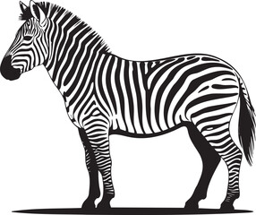 Striking zebra illustration in black and white for educational materials or animal themed designs and vibrant projects