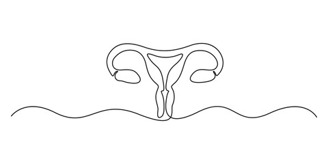 Continuous one line drawing of uterus minimal outline vector illustration