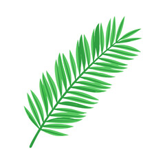 Vibrant green palm leaf illustration with simple design on white background