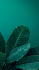 Tropical Green Leaves Against Teal Background Creates a Lush and Vibrant Monochromatic Scene Ideal for Natural Wellness