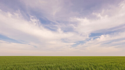Obraz premium Vast expanse of green field under a bright cloudy sky inspiring tranquility and freedom for creative projects and backgrounds