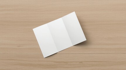 Blank trifold brochure booklet