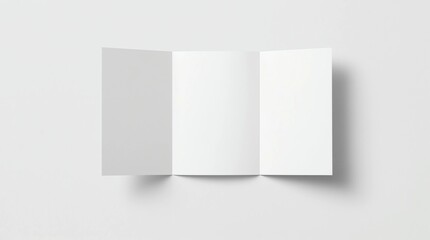 Blank trifold brochure booklet