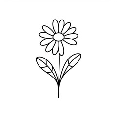 Simple hand drawn daisy flower illustration