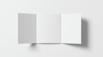 Blank trifold brochure booklet