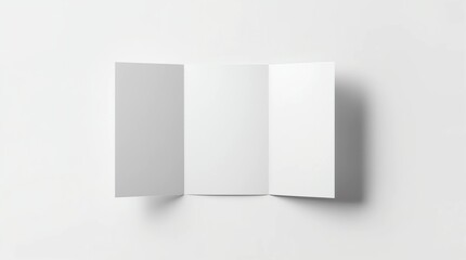 Blank trifold brochure booklet