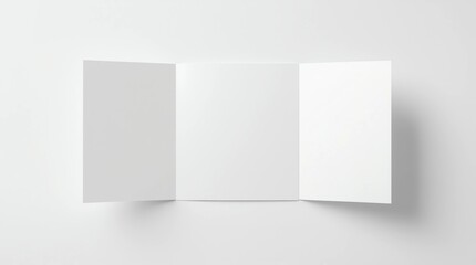 Blank trifold brochure booklet