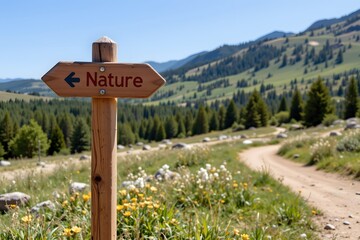 Nature's Guiding Arrow: A wooden signpost directs the viewer along a winding path towards a serene landscape of nature, showcasing the beauty of exploration.