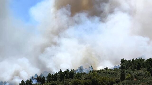 Floresta a arder com labaredas e imenso fumo no ar e um carro dos  bombeiros a correr para o local onde avi&otilde;es j&aacute; se encontram a descarregar &aacute;gua sobre as chamas