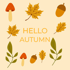 Warm welcome to the fall