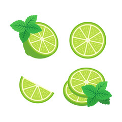 Lime and mint leaves set. Color vector illustration. Isolated on white background.	
