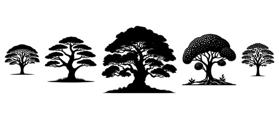 Tree Silhouette Black Filled On The White Background - Vector Illustration Outline Creative Design Icon.