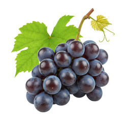 Fototapeta premium Bunch of fresh black grapes with green leaf isolated on white background