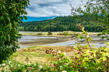 Oyster Bay Landscape