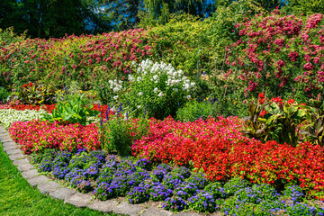 Lush Garden Flowers 2