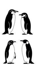 Fototapeta premium Four penguins in black and white isolated on white background