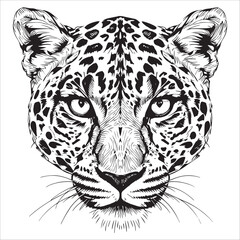 Leopard Head Portrait Vector