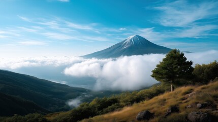 Misty Summer Morning at Mount Fuji
