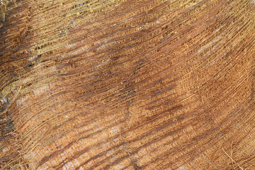 Coconut fiber texture white background, shoe sole material