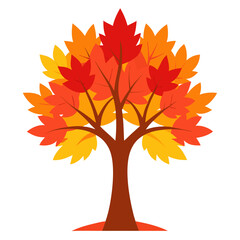autumn Maple tree isolated on white