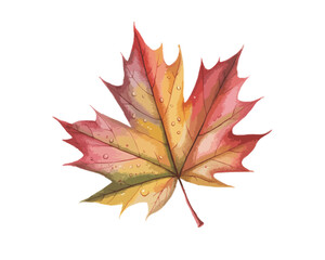 autumnal watercolor landscape isolated on transparent background