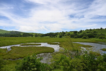 夏の八島湿原／長野県